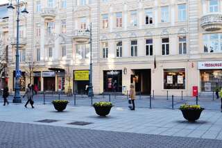 Апартаменты Gedimino Central Apartment Вильнюс Апартаменты с балконом-15